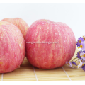 Fresh crisp ningxia apple red Fuji apple fruit